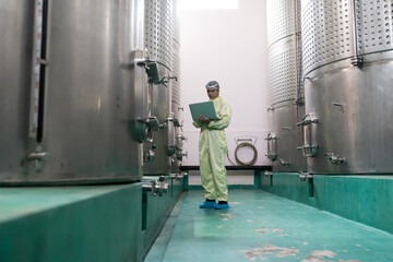 Wine factory, wine production, produces wine. Winemaker inspecting quality the process of...