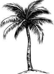 Illustration of a detailed black palm tree silhouette isolated. Vector illustration