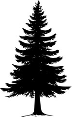Obraz premium Silhouette of a pine tree, vector illustration. Vector illustration
