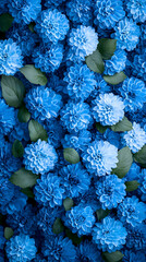 Dense Blue Flowers Background High Resolution Image