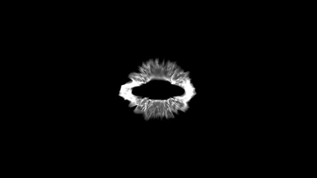 Shockwave Smoke Explosion Effect Stock Video