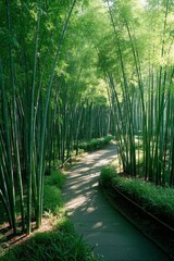Obraz premium a close up of a pathway through a lush green forest