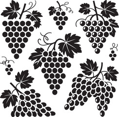 Collection of Black and White Grape Clusters with Leaves