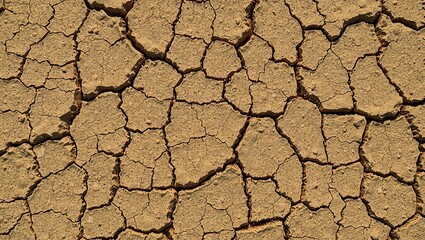 Dry, Cracked Earth Background with Room for Your Brand Message