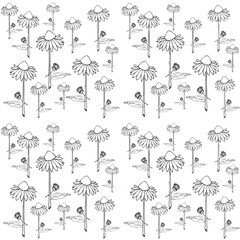 Delicate Coneflower Outlines - A Serene Pattern for Botanical Appreciation