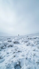 Obraz premium Éthereal Winter Landscape with a Solitary Figure in Snowy Expanse