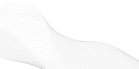 Abstract black and white gray wavy curve  technology science line on transparent background, Vector illustration,
