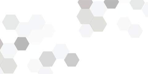 Luxury white and grey hexagonal abstract background with shadow. Geometric 3d texture illustration. Abstract hexagonal concept technology, banner and wallpaper background.
