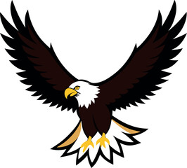 american bald eagle