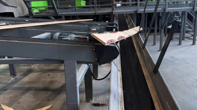 Lumber pieces moving along an automated conveyor system in an industrial setting, showcasing efficient timber processing and transportation