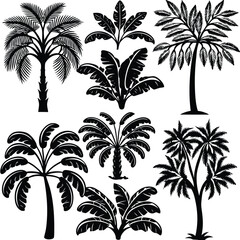 Fototapeta premium Black and White Palm Tree Silhouettes Collection, Hand-Drawn Palm Tree Illustrations, Stylized Palm Trees Clipart Set.