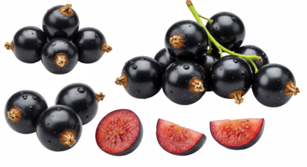 black currant isolated on transparent background
