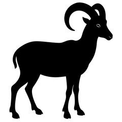 Argali silhouette vector isolated on white background