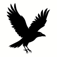 Fototapeta premium Crow flying silhouette vector isolated on white background
