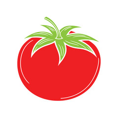 Tomato vector art and illustration on a white background