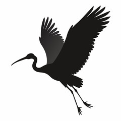 Ibis flying silhouette vector isolated on white background 