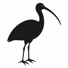 Fototapeta premium Ibis silhouette vector isolated on white background