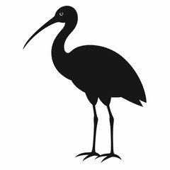 Ibis silhouette vector isolated on white background