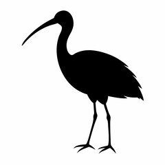 Ibis silhouette vector isolated on white background