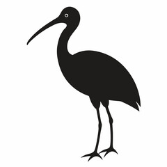 Ibis silhouette vector isolated on white background