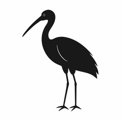 Ibis silhouette vector isolated on white background