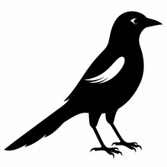 Magpie silhouette vector isolated on white background