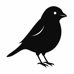 Sparrow silhouette vector isolated on white background 
