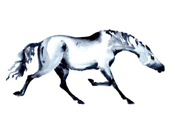 Horse in trot. Watercolor or ink hand painting. Beautiful hand drawing illustration. Equestrian silhouette. Running pony in motion. Equine art by artistic brush stroke vector. Trotting stallion