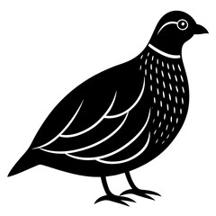 Animal Quail silhouette vector illustrator