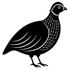 Animal Quail silhouette vector illustrator