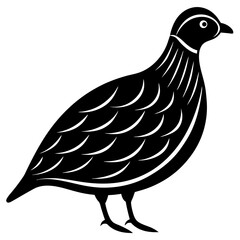 Animal Quail silhouette vector illustrator