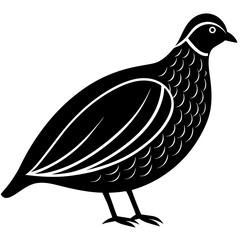 Animal Quail silhouette vector illustrator
