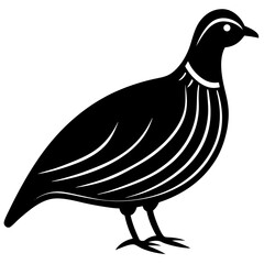 Animal Quail silhouette vector illustrator