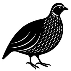 Animal Quail silhouette vector illustrator