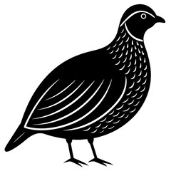 Animal Quail silhouette vector illustrator