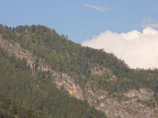 Tall mountain landscape featuring lush green forestry and a cloudy sky during midday