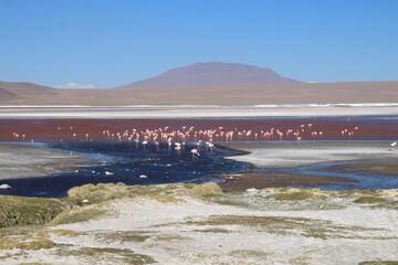 Lagoons, volcanoes and geysers in the Uyuni desert
