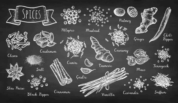 Big set of spices. Chalk sketch.