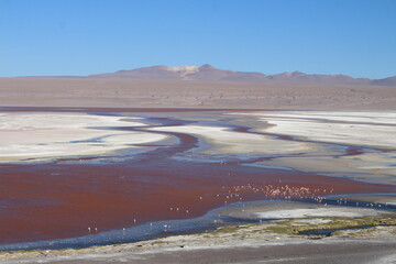 Lagoons, volcanoes and geysers in the Uyuni desert
