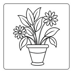 Pink hyacinth flowers blossom in a pot, a spring floral decoration isolated to bring nature's color and growth indoors