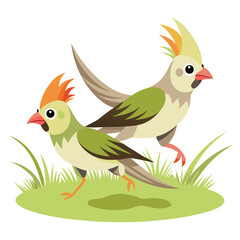 Cockatiel birds running the field shilhotee vector isolated on white background 