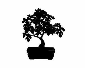 creative Silhouette Fig Bonsai Icon Vector Illustration

