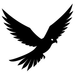 eagle vector illustration