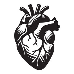 Human heart medical vector illustration