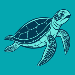 vector illustration of turtle