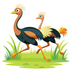 Ostrich birds running the field shilhotee vector isolated on white background 