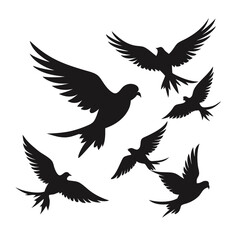 Parakeet birds flying in the sky shilhotee vector isolated on white background 