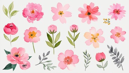 Watercolor Pink Flower Collection: Assorted Spring Blooms