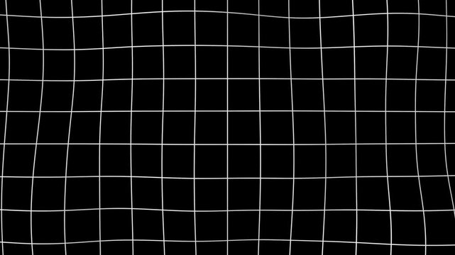 A white grid on a black background. Warp animation