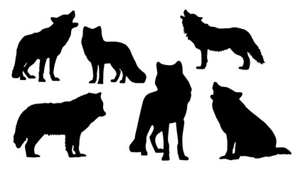 Wolf Shadwo